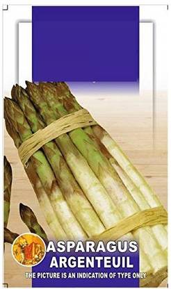 VibeX ® VXL-222 Asparagus Argentuil Exotic Seeds Seed