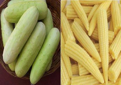 VibeX Cucumber White Longand Baby Corn Seeds Seed