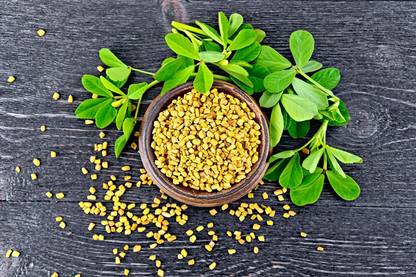 VibeX ® VXI-221 Methi Fenu Greek Seeds Gardening Herb Seed