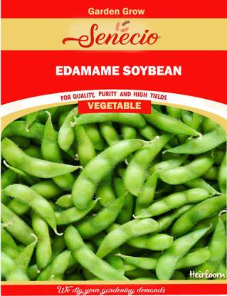 SENECIO Edamame Bean Seed