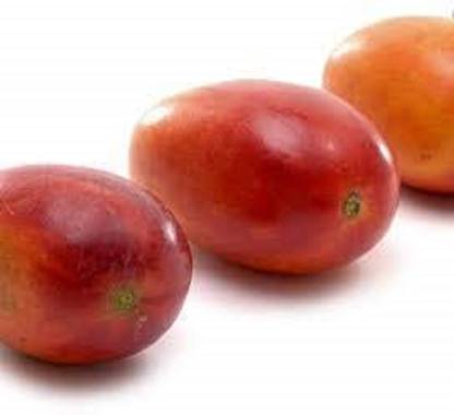 Exotica Orchids Mango Plant