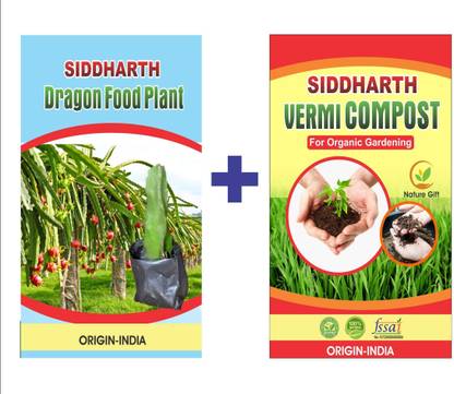 SIDDHARTH FISH FARM Dragon Tree