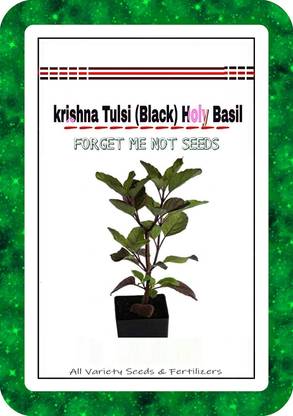 VibeX ™ VXI-515-Tulasi seeds krishna tulsi Seed