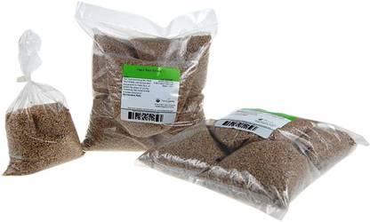 VibeX ® VXI-854-Organic Hard Red Wheat Sprouting Seed Seed