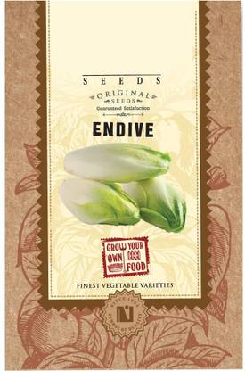 VibeX Endive Seeds Seed