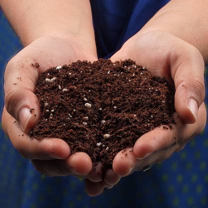 DIOART LXI-511 Organic Potting Soil Mix with Cocopeat, Vermicompost, Neem Granule Potting Mixture