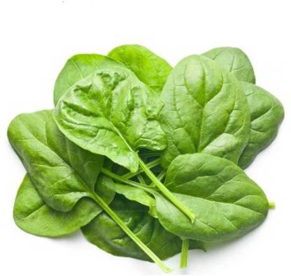 Namdhari's FRESH Spinach