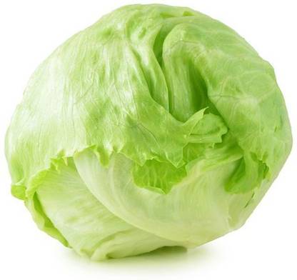 Lettuce Iceberg