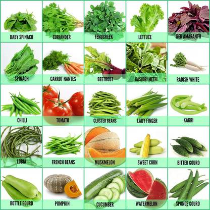 VibeX 25 Varieties of Vegetable & Fruits Seeds - 1600+ Seeds | Easy to Grow Seed