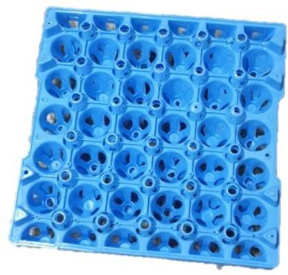 Gupta Plastic Egg Container  - 2.5 dozen