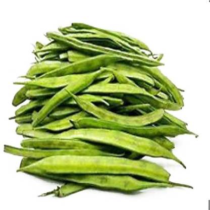 VibeX GUVA PHALI Seed