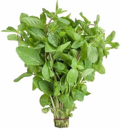 Namdhari's FRESH Mint Leaves