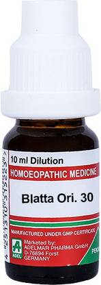 ADEL Blatta Orientalis Q Mother Tincture