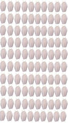 Royal Products Hair Cut Cape