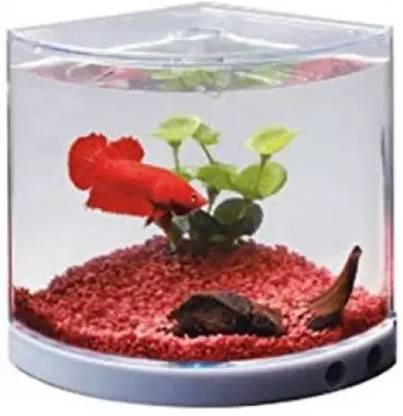 Dophin T201 Corner Pentagon Aquarium Tank (1.4 L) Corner Pentagon Aquarium Tank