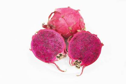 CooPany RED FLESH DRAGON FRUIT SEEDS / RED DRAGON FRUIT SEEDS Seed