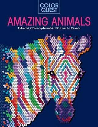 Color Quest: Amazing Animals