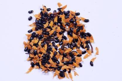 Forest Devlopment Acacia mangium Tree Seed, Australian Teak Seed, Teak Seed Seed