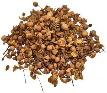 Somadev NAGKESAR Seed