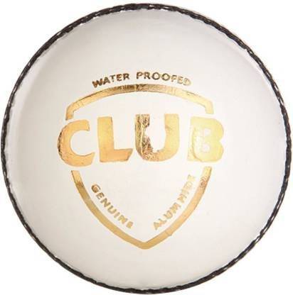 RW Cricket Leather Ball For 50+ Over (Pack of 1) Cricket Leather Ball