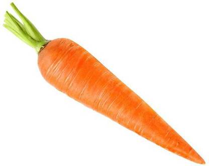 sporos Carrot Seed
