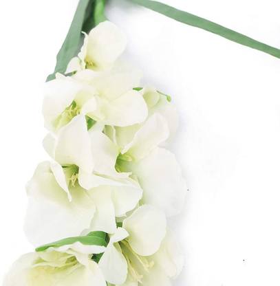 DIOART ® VXI-1366 -4 Bulbs Seed