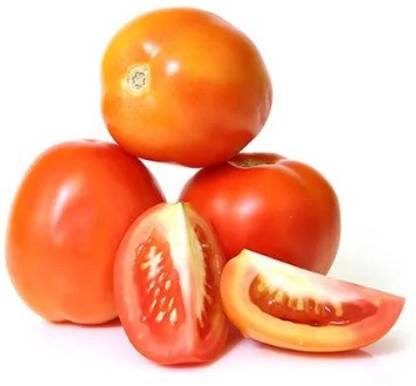 Tomato Hybrid
