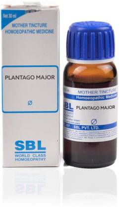 SBL Plantago Major Q Mother Tincture