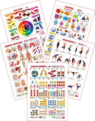 Spectrum Educational Large Wall Charts (Set of 5) : ( Colours, Shapes, Human Anatomy, Yogasana & Numbers 1-20 ) (English & Marathi Language)