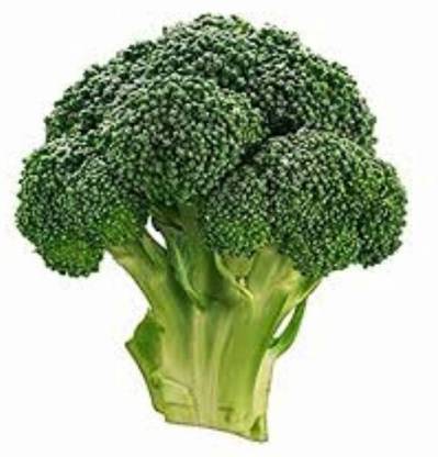 VibeX BROCCOLI Seed