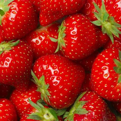 Paudha Strawberry Seed