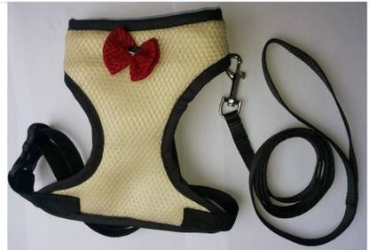 Birds' Park Cat Collar & Leash