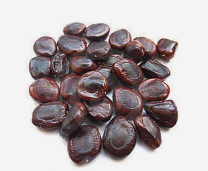 VibeX VXI-216Guarenteed Germination Tamarind, imli or Tamarindus indica Tree Seed
