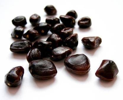 ActrovaX Tamarind Bonsai Suitable [3200 Seeds] Seed