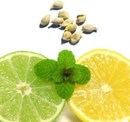 CRGO ™ XII-1235 Australian Finger Lime Tree Seed Seed