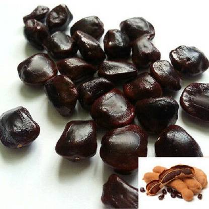 WILLVINE Tamarind Seed
