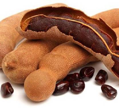 VibeX Tamarind Seed