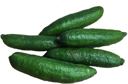 VibeX XII-1197 Finger Limes Seeds Seed