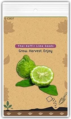 VibeX Lemon Seed