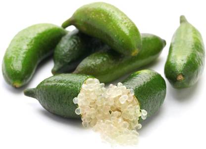 CRGO ™ XII-1497 Rare Lemon Tree Indoor Outdoor Seed