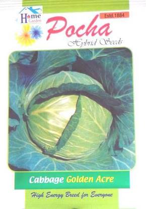POCHA CABBAGE Seed