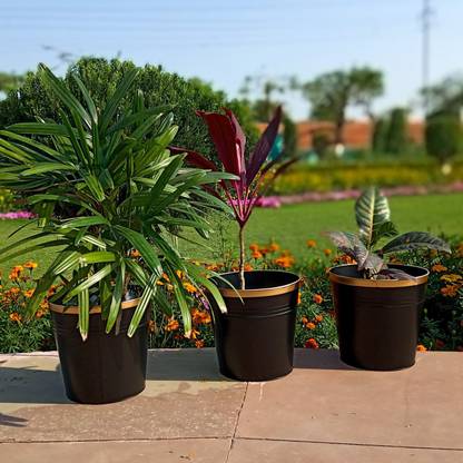 ecofynd [3 Pack] 10 inches Round Metal Planter | Indoor Outdoor Balcony Plant Pot | Home Garden Office Flowering Container Cover | Living Room Décor Plant Container Set