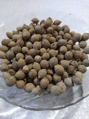 AmbeStore Putrajeevak Beej, Putrajeevak Seeds, 200gm Seed