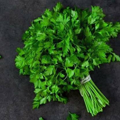 FRESHO Parsley Seed