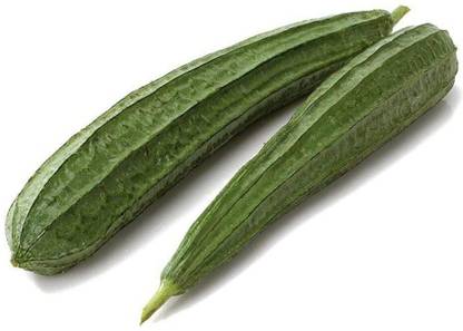 Ridge Gourd
