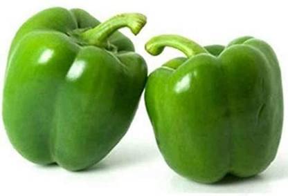 Fresh Green capsicum Seed