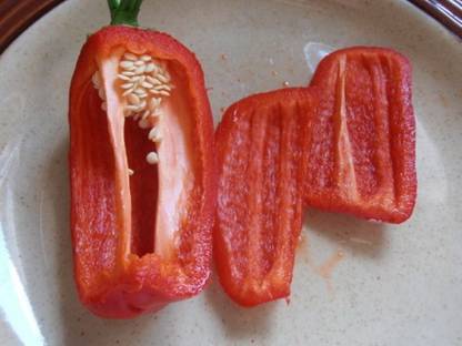 PMB shimla mirch red Seed