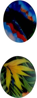 HRSGS Carrom Striker 3D Glass finish 5 MM carrom Striker Pack of 2 (Multicolor) Board Game Accessories