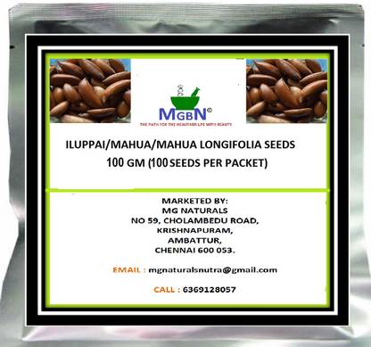 MGBN ILUPPAI/MAHUA/MAHUA LONGIFOLIA SEEDS (100 GM) Seed
