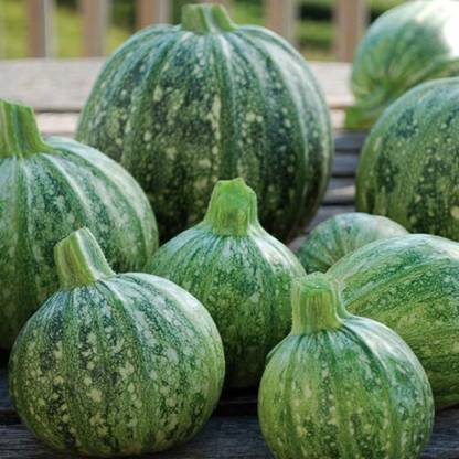 ErTh Pumpkin Vegetable Seed
